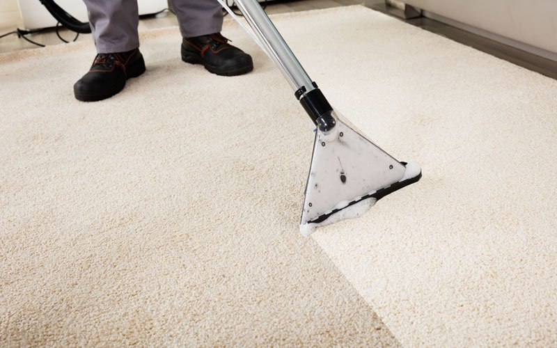 Carpet Cleaning